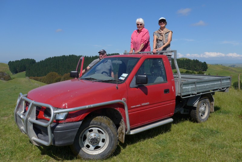 Bild 1