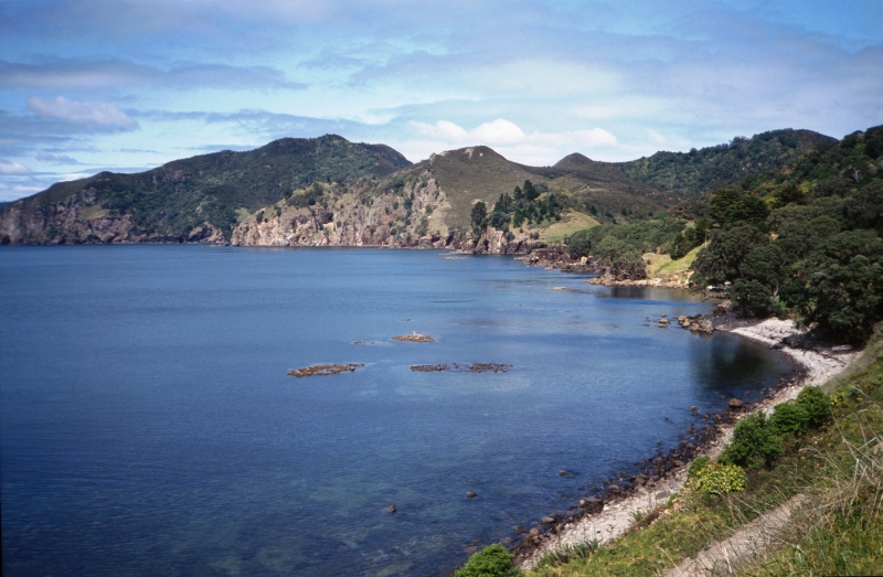 NZ Nordinsel - Coromandel