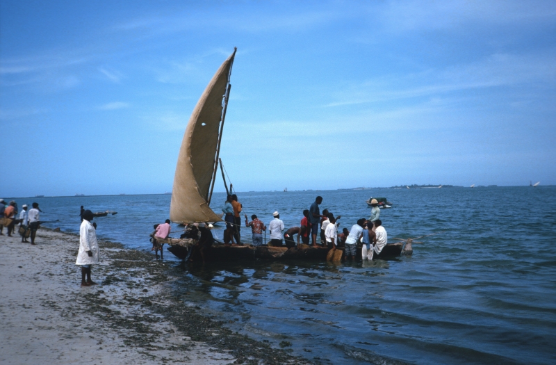 Dhau an der Küste vor Daressalam