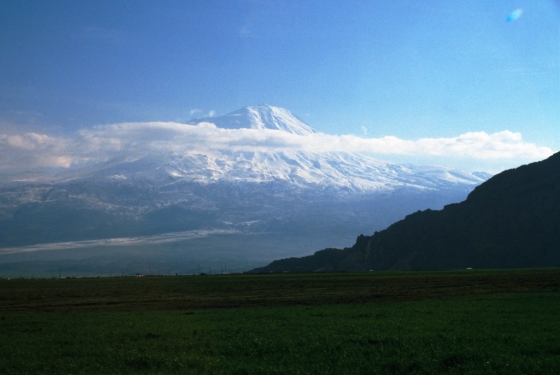 Der Ararat