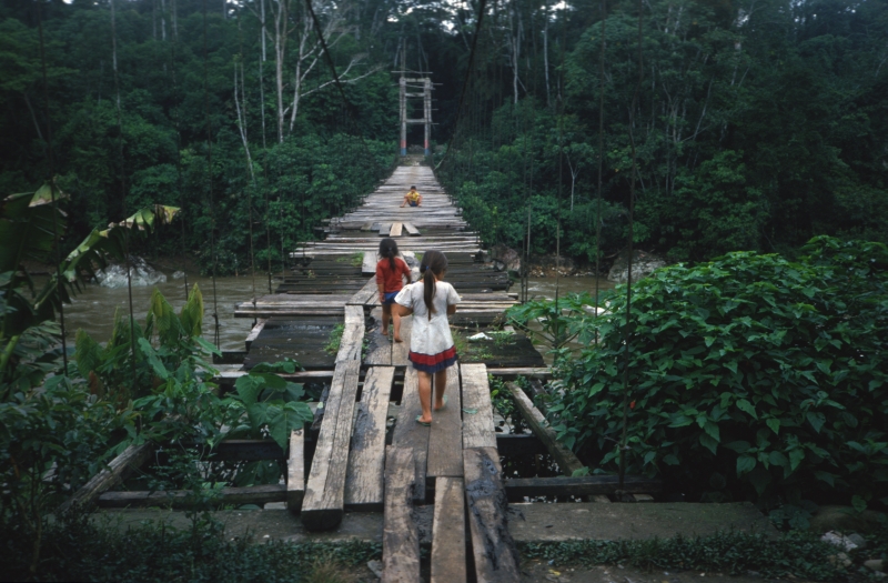 Hängebrücke im Dschungel von
Ecuador