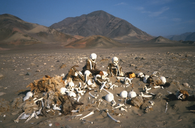 2000 Jahre alte Mumien in der
Wüste von Peru