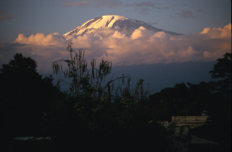 Kilimanjaro im Abendlicht,
Tansania